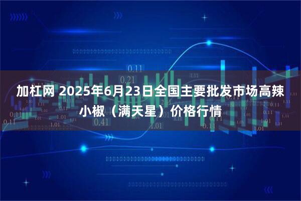 加杠网 2025年6月23日全国主要批发市场高辣小椒（满天星）价格行情