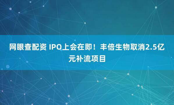 网眼查配资 IPO上会在即！丰倍生物取消2.5亿元补流项目