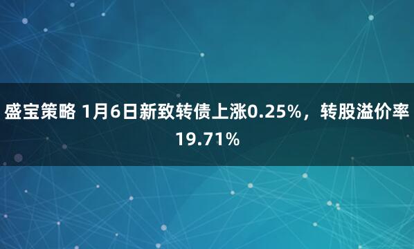 盛宝策略 1月6日新致转债上涨0.25%，转股溢价率19.71%